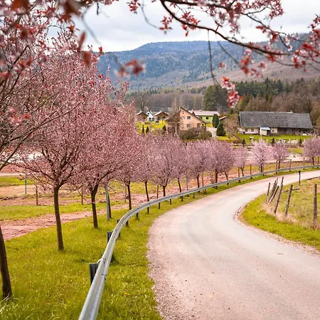 Lejlighed Pod Ratuszem Ii