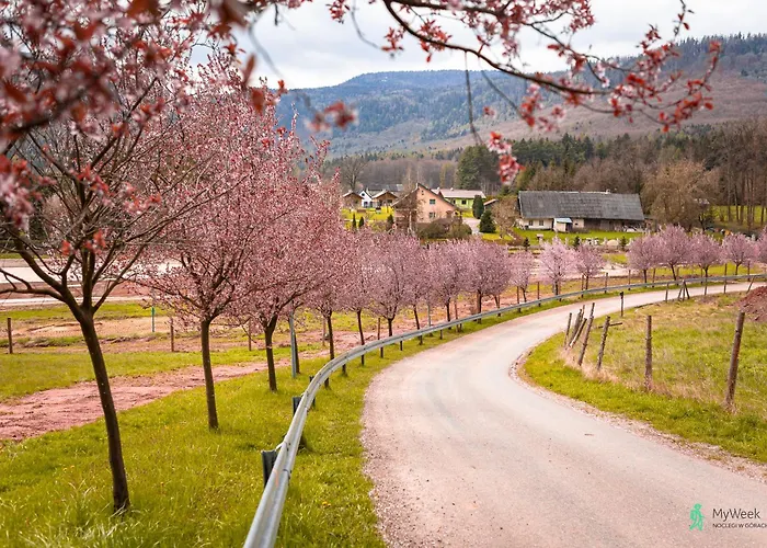 Daire Pod Ratuszem Ii